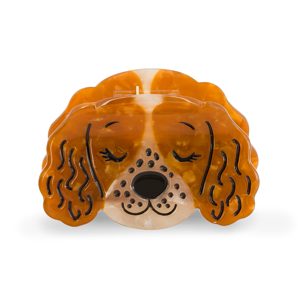 Pinça - Cão
